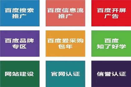 某科技公司通过百度推广引领行业创新发展